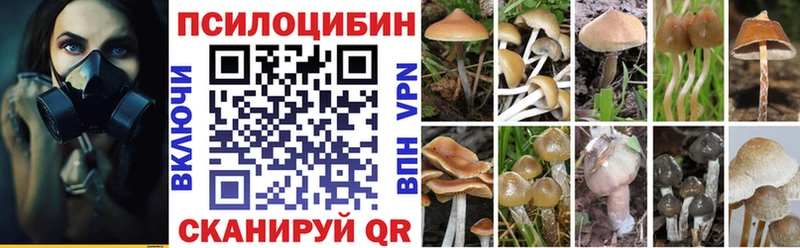 как найти наркотики  мориарти какой сайт  mega как войти  Псилоцибиновые грибы Psilocybe  Губкинский 